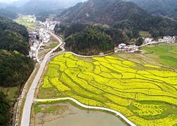 通山打拱苹果版通山打拱官方下载-第2张图片-太平洋在线下载